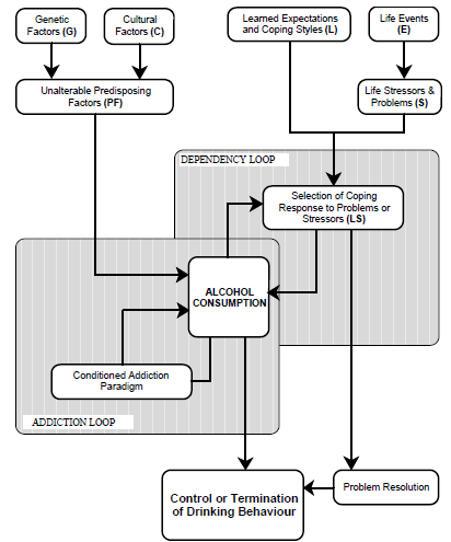 Schematic of new paradigm to explain alcoholism